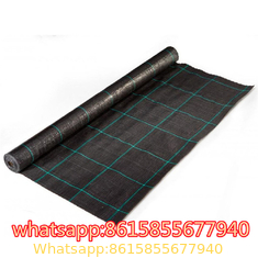PP PE Woven Plastic Weed Control Block Mat Fabric Cloth Weed Barrier Non Woven Weed Mat For Agricultural Ground Cover
