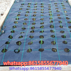 PP PE Woven Plastic Weed Control Block Mat Fabric Cloth Weed Barrier Non Woven Weed Mat For Agricultural Ground Cover