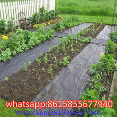 PP PE Woven Plastic Weed Control Block Mat Fabric Cloth Weed Barrier Non Woven Weed Mat For Agricultural Ground Cover