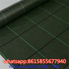 garden ground cover fabric / weed barrier mat / plastic pp anti weed agro weed control