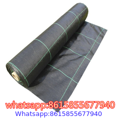 PP PE Woven Plastic Weed Control Block Mat Fabric Cloth Weed Barrier Non Woven Weed Mat For Agricultural Ground Cover