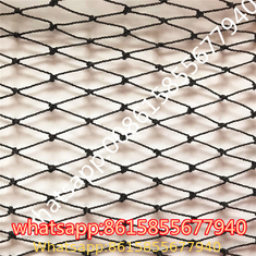 Polyester Knotted  fishing Net