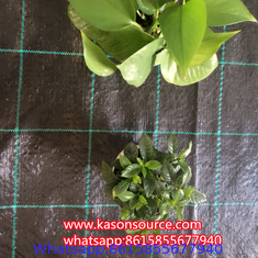 PP woven membrane ground cover anti grass weed control cloth blocker mulch film landscape fabric barrier weed mat