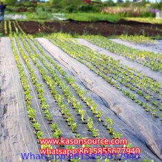 Agricultural plastic woven ground cover pp weed control mat weed barrier fabric telo pacciamatura landscape fabric