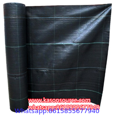 Horticulture Landscaping fabric/Weed barrier fabric/Plastic Ground Cover Net