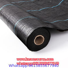 Horticulture Landscaping fabric/Weed barrier fabric/Plastic Ground Cover Net
