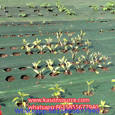 Horticulture Landscaping fabric/Weed barrier fabric/Plastic Ground Cover Net