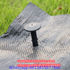 Manufacture direct PP and scape fabric anti grass cloth for agriculture protection