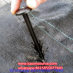 Manufacture direct PP and scape fabric anti grass cloth for agriculture protection