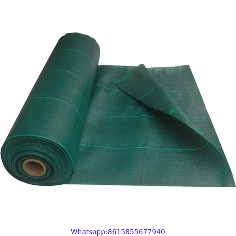 Biodegradable weed mat ,anti grass pp plastic plant ground cover