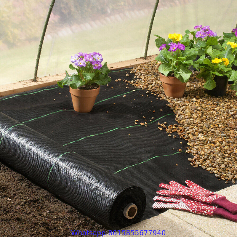 Plastic cheap anti weed mat Woven polypropylene anti weed mat for agriculture