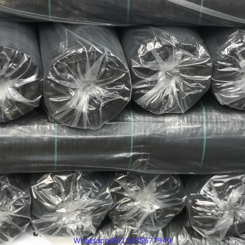 Strawberry Plant Greenhouse Weed Mat Cover Ground Control Weed Growing Anti-weed Black PP Material