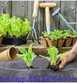 Factory Crazy Price PP garden ground cover fabric / anti weed control mat 1*10m or 2*5m Fold into sheets