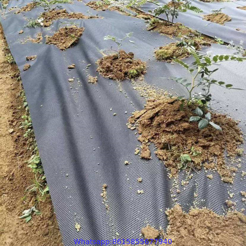 UV Treated PP Agricultural Landscap4m Width  Weed Barrier Fabric100 GSM White Greenhouse Weed Blockage Anti-Weed Control