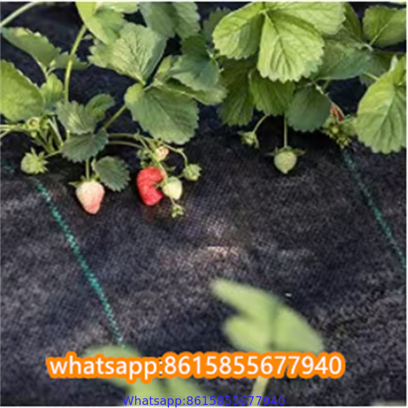 Plastic cheap anti weed mat woven PP ground cover for agriculture