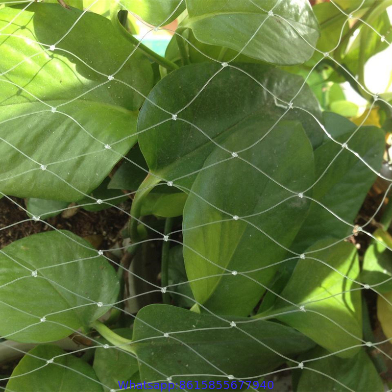 customizable various agricultural anti bird netting