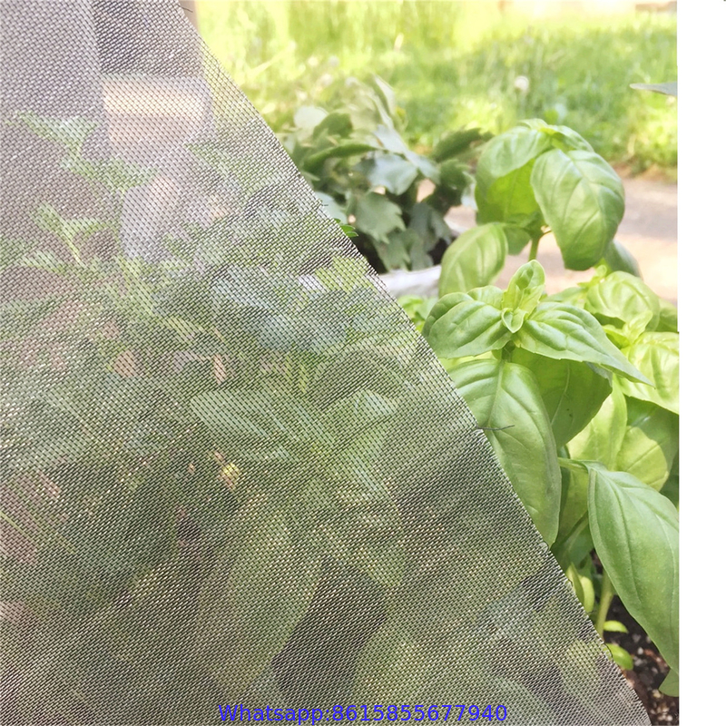 window screen against mosquitoes anti insect net