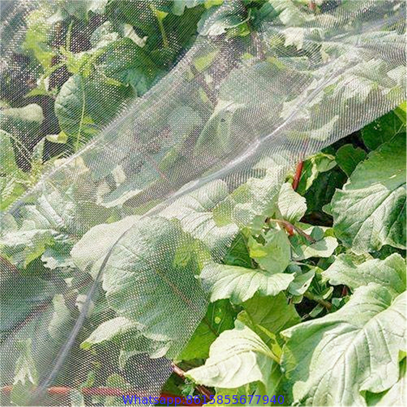 100% new 40 x 25 mesh plastic anti insect nets for greenhouse