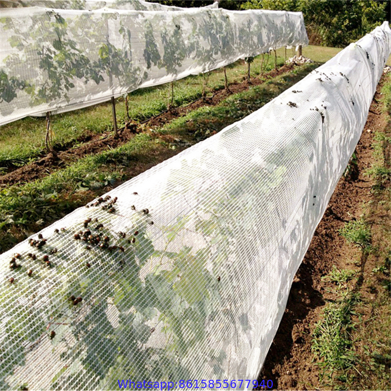 agricultural product fruit fly nets /vegetables anti fly net