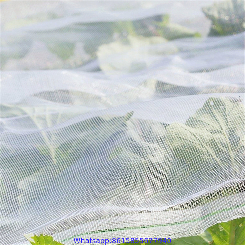 Agricultural Use Green House Anti Insect Net