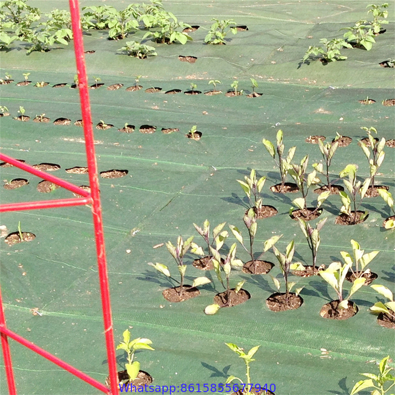 Anti Uv Plastic Agricultural Woven Pp Anti Weed Control Mat