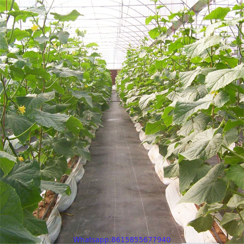 garden ground cover fabric / weed barrier mat / plastic pp anti weed agro weed