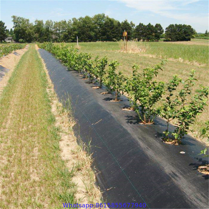 200 meters Fabric Anti Weed Barrier Agriculture Ground Cloth Cover Garden
