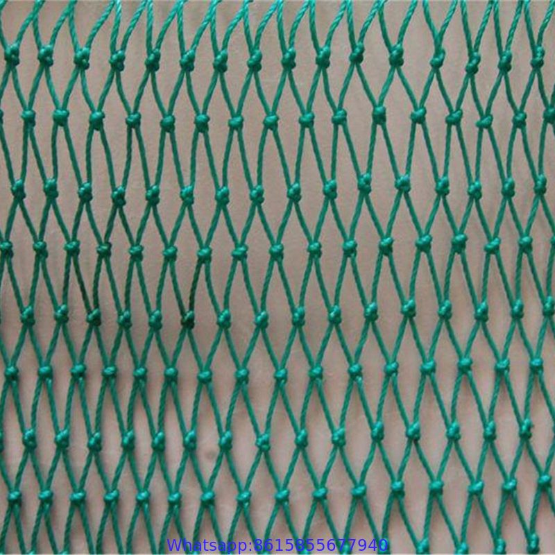 olive tree collect harvest netting