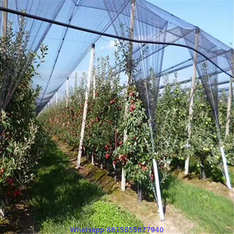 HDPE agriculture olive harvest nets for sale