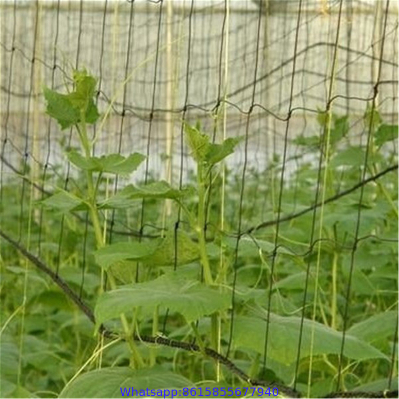 Trellis Netting Roll / Garden Plant Climbing Nets Support