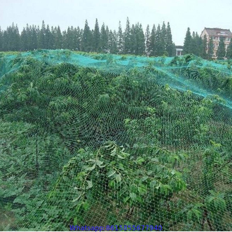 100% Virgin Anti Bird Plastic Net for Fruit Cage Netting