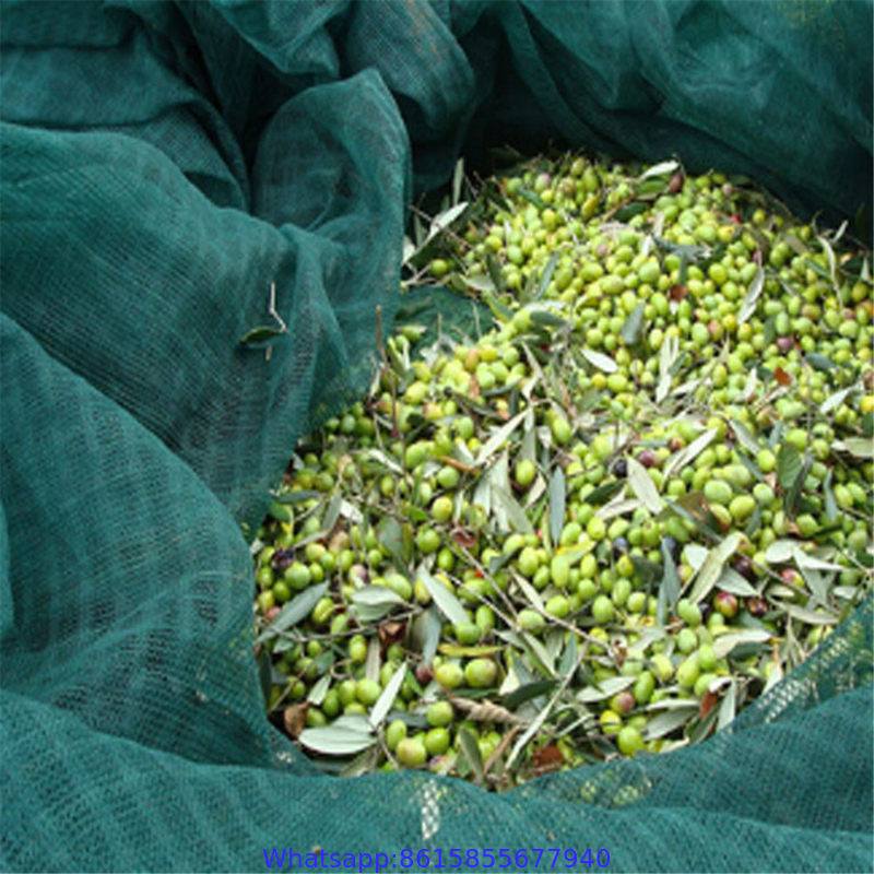 HDPE Olive Net (Harvesting Net)