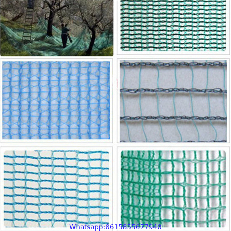 Black Color Anti Hail Net Olive Net for Agriculture