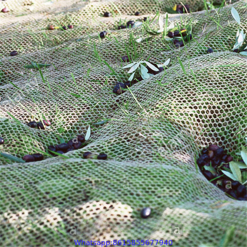 HDPE Agriculture Fruit/ Olive Net/ Harvest Nets/ Collecting Net/ Olive Collect Net