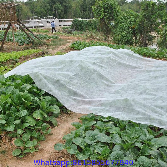 Spunbond Non Woven Agriculture Cover Fabric , Landscape PP Fabrics for