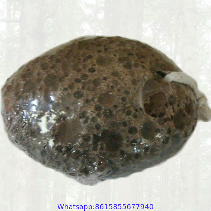 Egg shaped volcano pumice stone ,pumice stone