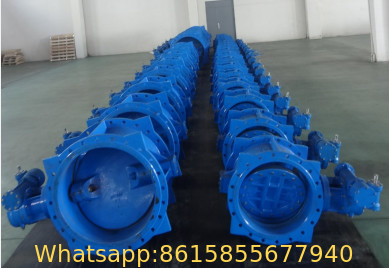 China manufactured Double Flanged Type Eccentric Butterfly Vlave-Type1