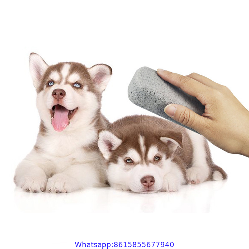 Dog cat animal hair pet hair remover stone brush roller for cleaning