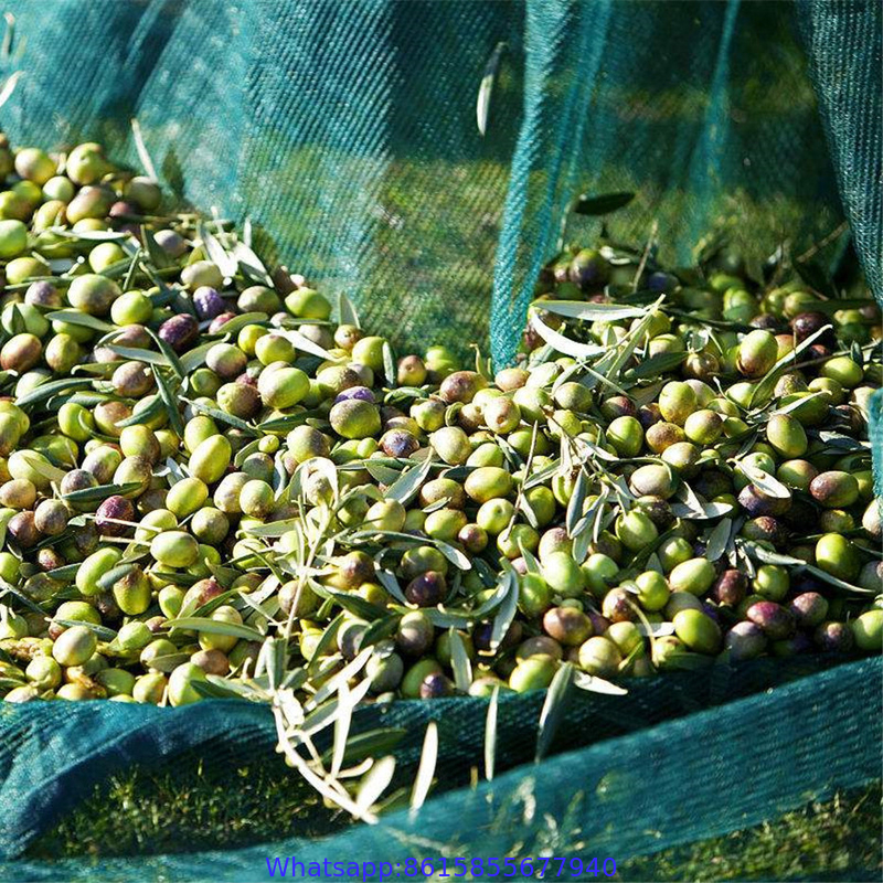 hdpe material Olive Catching net