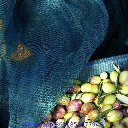 High Quality Olive Net Olive Harvest Mesh Net Olive Collecting Netting plastic