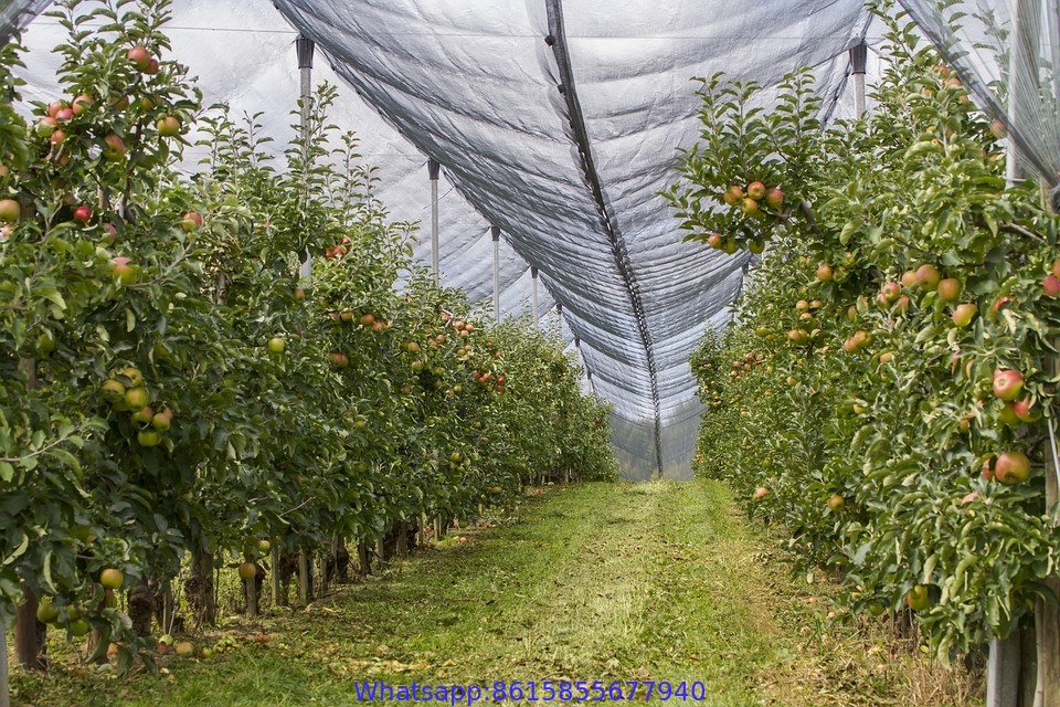 Agriculture Protection Anti Hail Netting