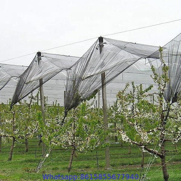 Polyester mesh fabric white plastic anti hail net for greenhouse 5m width