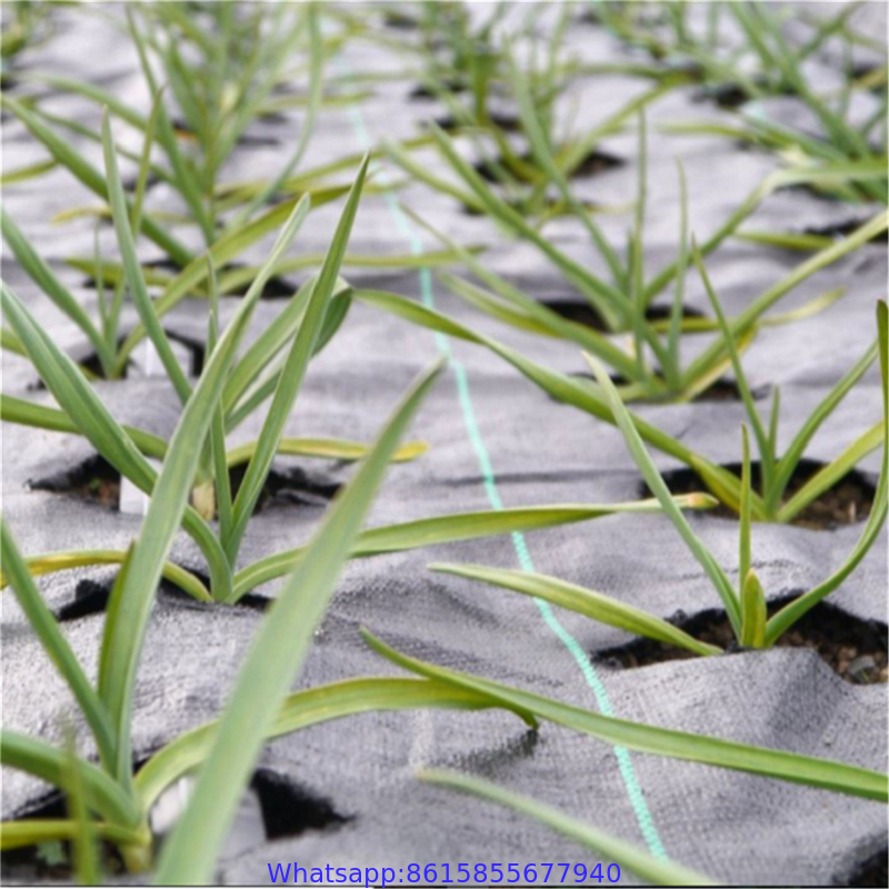 Polyethylene Weed Barrier Landscape Fabric