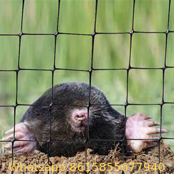 Anti mole net, anti mole netting