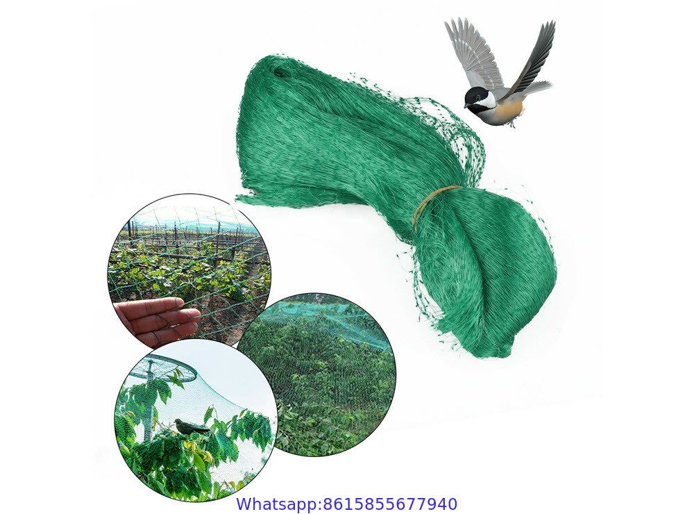 Fruit Tree Netting, Bird Netting For Fruit Trees