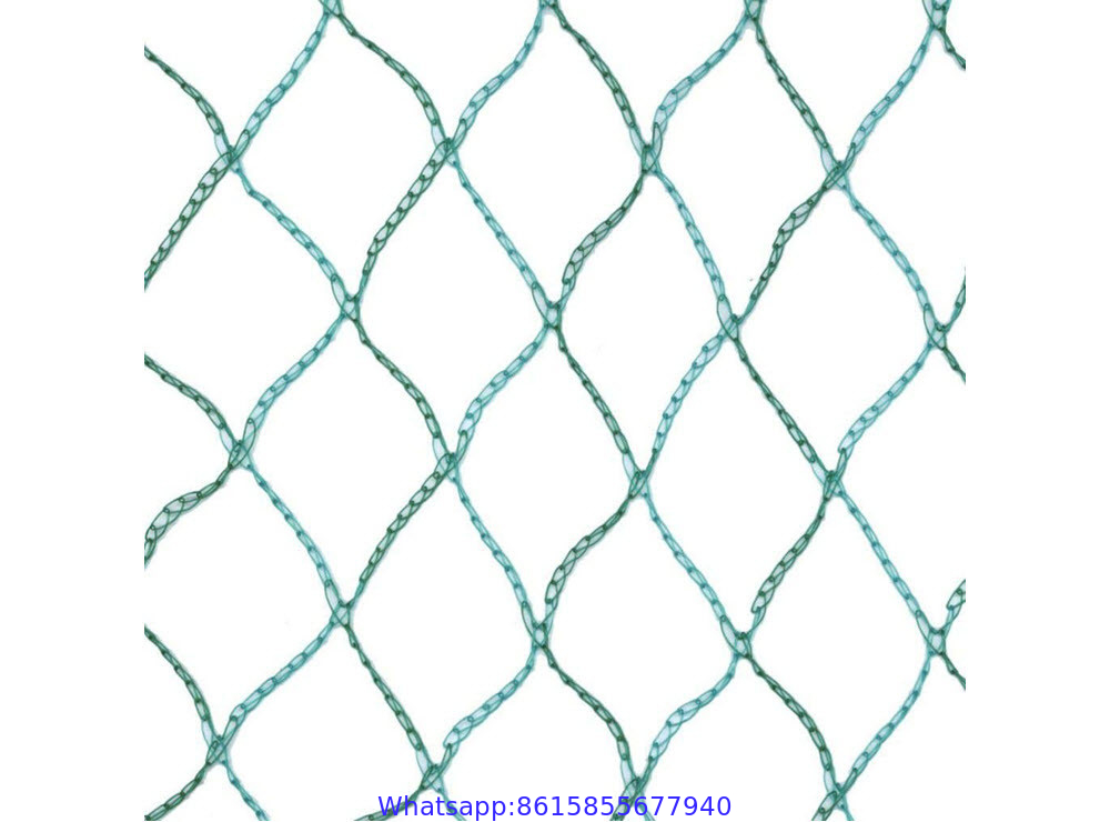 Bird-Preventing Anti Bird Netting