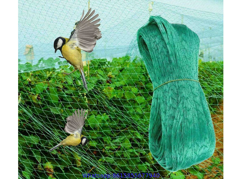 Garden Netting to Keep Birds Out