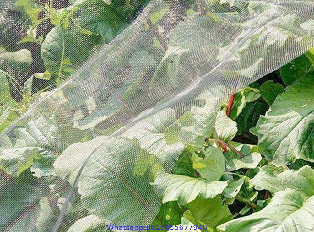 Insect-Proof Net, Crops Protection Net Against Insects And Pests