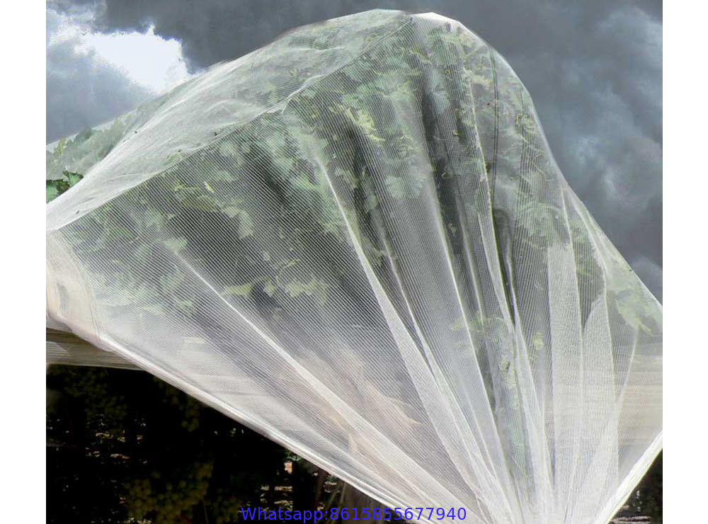 Anti Hail Net Protects Crops and Fruits From Hail