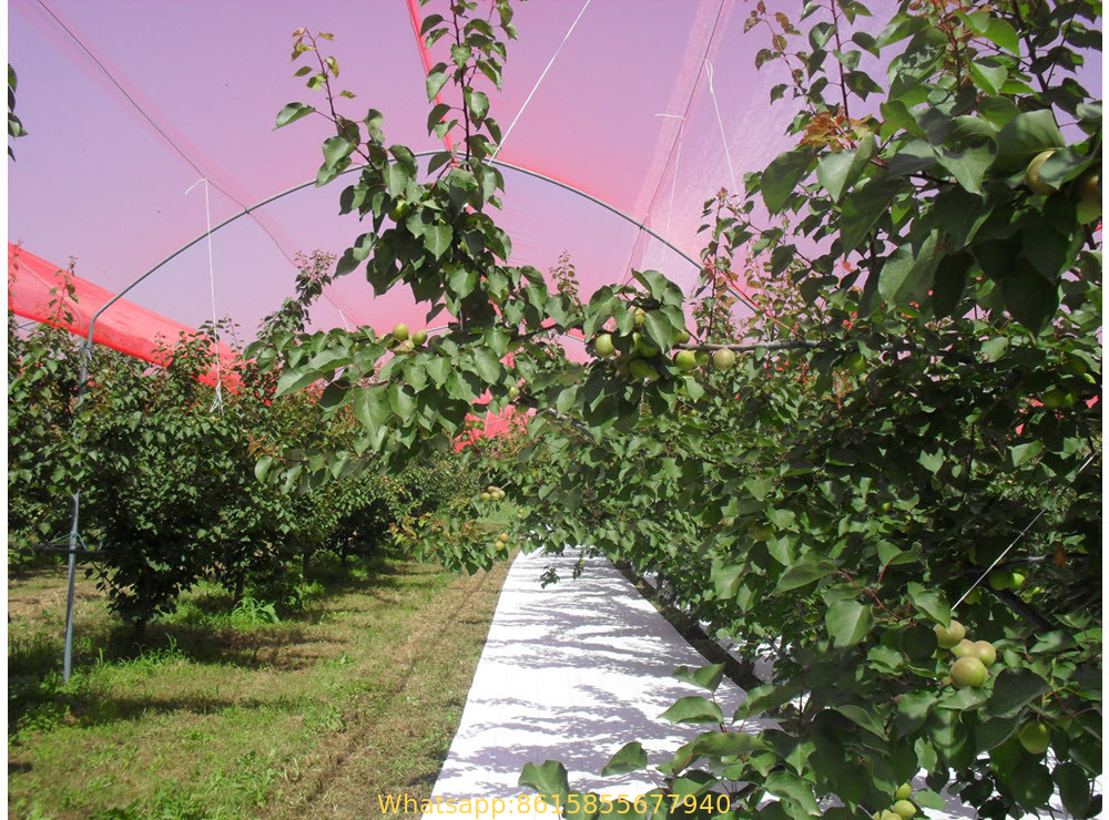 Woven Anti-Hail Nets to Protect Plants